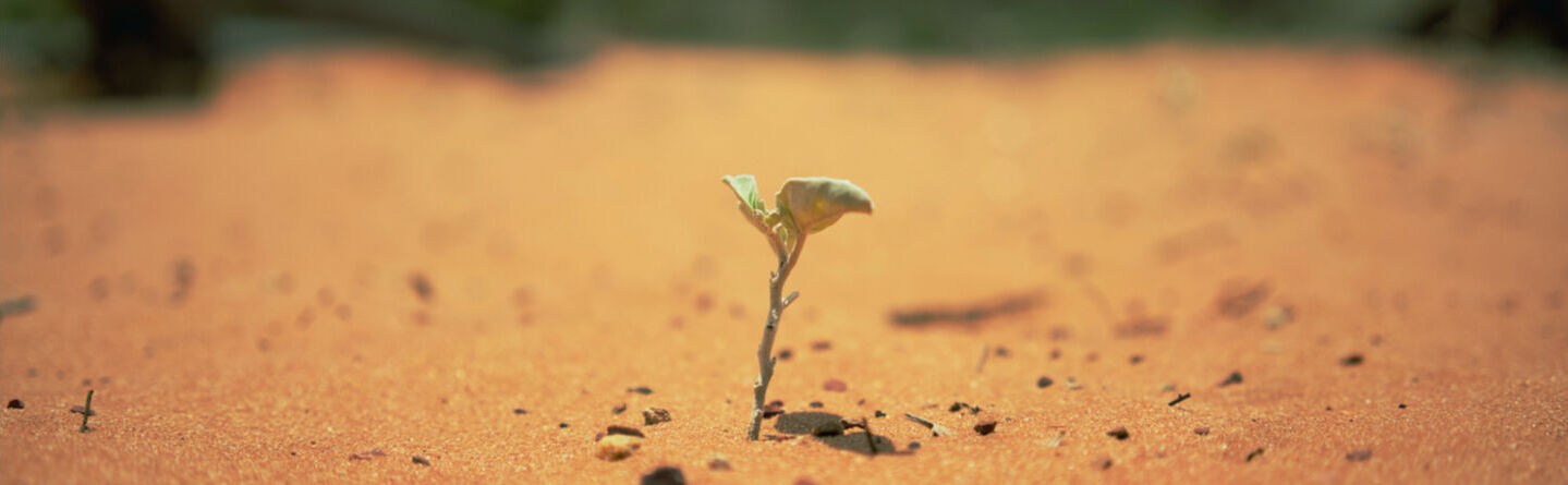 ส่วนบนสุดของเว็บไซต์